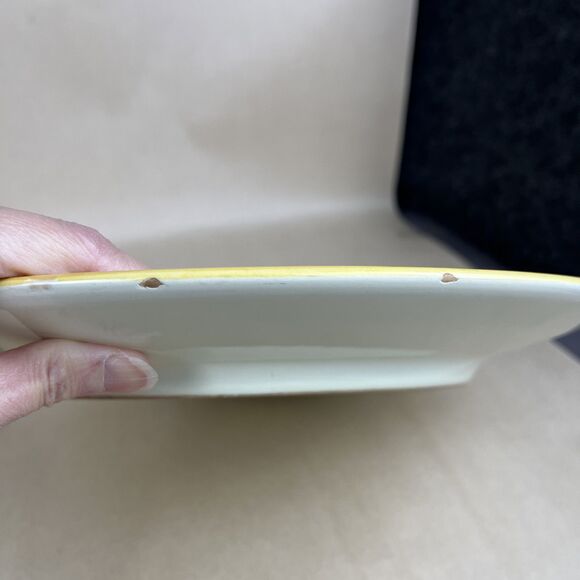 Set of 2 Pier 1 ETRUSCO Earthenware Dinner Plates Handpainted ITALY 11 1/2" Read - Picture 9 of 11